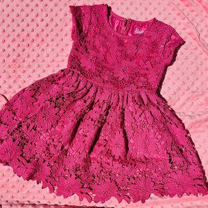 Barbie Pink Lace Party Dress